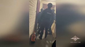 В Петербурге полицейские задержали подозреваемую в поджогах объектов транспортной инфраструктуры