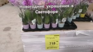 Светофор. Обзор к новогодних гирлянд.