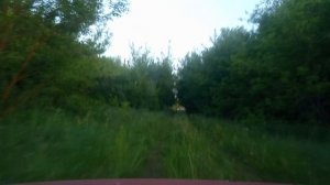 Село Ольгино, Турковский район.