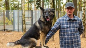 #WildTalks. Артём Гебелев, основатель проекта «Собакин город». Среда для людей с собаками