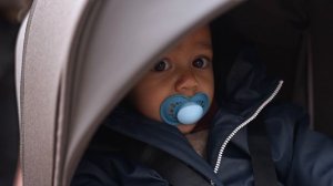 Коляска 2в1 Anex iQ 2025