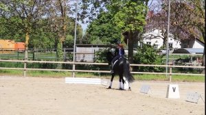 Dorothee Schneider Training Teil 2 - Grand Prix