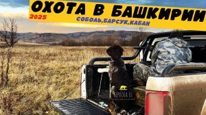 СЕЗОН ОХОТЫ В БАШКИРИИ 2025!!! КАБАН,БАРСУК И СОБОЛЬ !!!