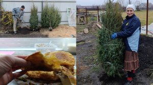 Сельские будни матушки.Что выросло за 5 лет👍