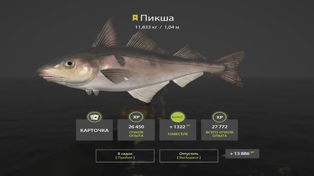 Русская рыбалка 4. Норвежское море смотреть онлайн