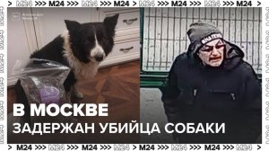 В Москве полиция задержала подозреваемого в краже и убийстве собаки - Москва 24
