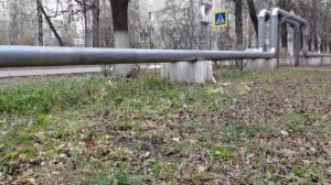 Ребенок пострадал при взрыве замаскированного под банкноту устройства в Красногорске