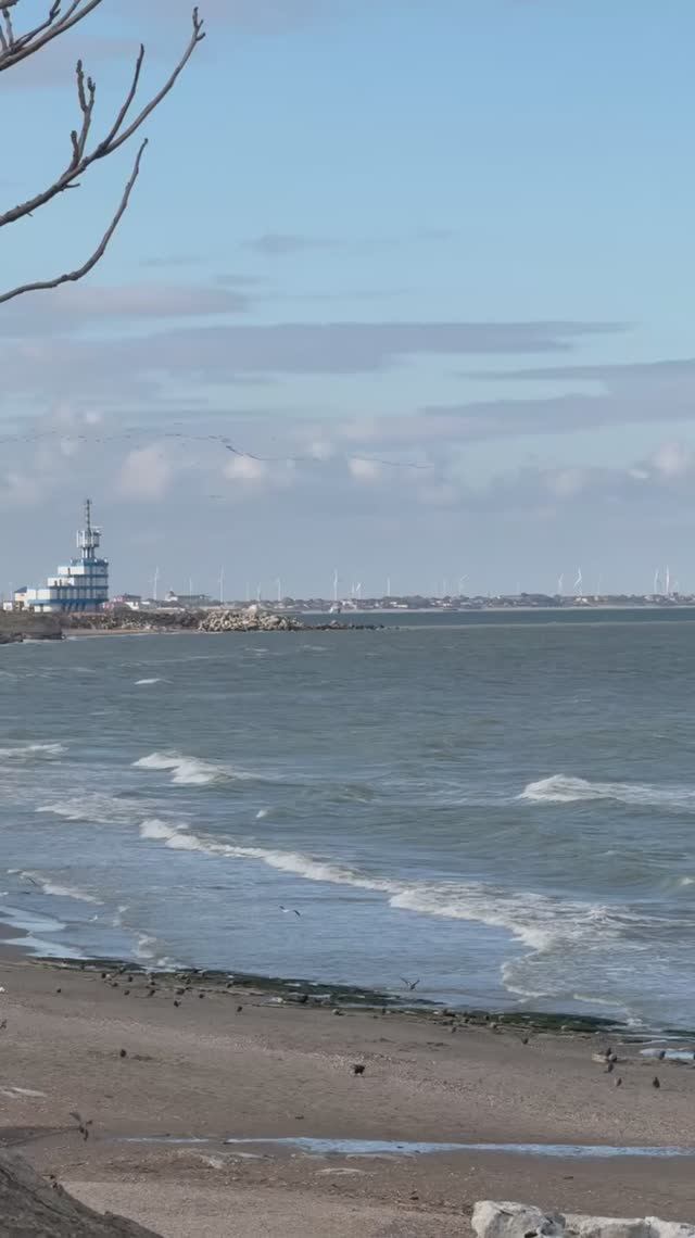 Как прекрасно наблюдать за гармонией природы