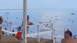 Алтайский край