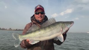 Ловлю судаков с большой глубины на паноптикс