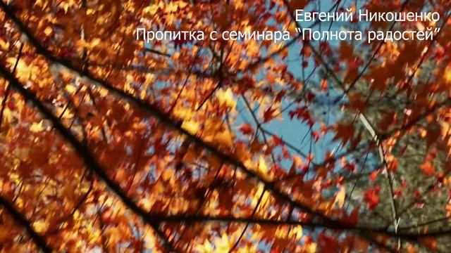 Молитвенная пропитка 9 - Евгений Никошенко с семинара Полнота радостей