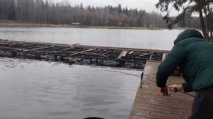 И очередная поимка онлайн. Клюнула форель на донку