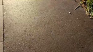 думаю о челенже,🤭