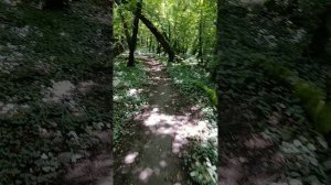 Много курганов возвышений встречается на пробежке по тропе на вершине горы Медведь в Архипо-Осиповке