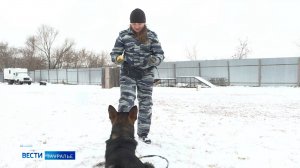 За последние 7 лет количество домашних животных в России увеличилось