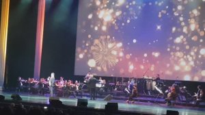 Пётр Захаров. "Свадьба". Видео канала Мой Петербург.