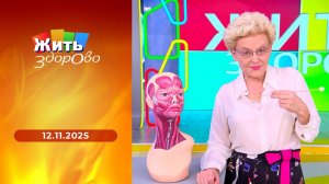 Жить здорово! Выпуск от 12.11.2025