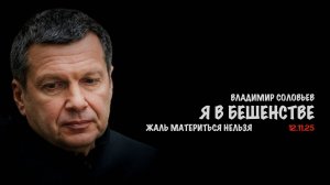 Я в бешенстве | Владимир Соловьев