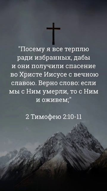 #Слово на 12.11 #библия #тимофею смотреть онлайн