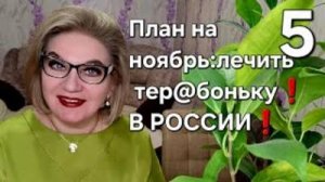 План на ноябрь_ лечить тер@боньку в РОССИИ❗️
