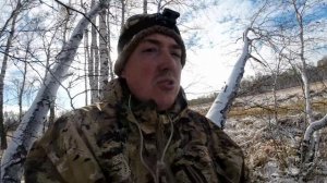 Первый зимний выход, тетерева, козы и лисы