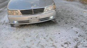 Противотуманки в Лауреле