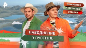 Наводнение в пустыне — Невероятно интересные истории (12.11.2025)
