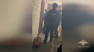 В Петербурге полицейские задержали подозреваемую в поджогах объектов транспортной инфраструктуры