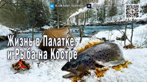Зимняя Сказка - Жизнь в Палатке и Рыба на Костре