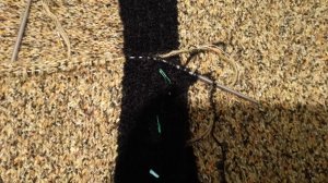 СП " Год кардиганов ". Организатор Оксана Крылова. Отчет за Ноябрь.