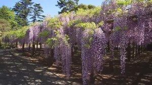 Самые красивые парки мира