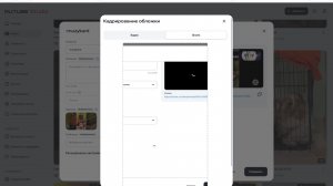 мм121212121212121212121212121212121212121212121212121212121212121212