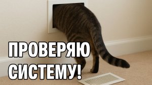 Смех до слёз: лучшие приколы №209
