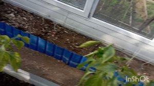 ✅Влог. Ноябрь. Мы на даче. Работаем в саду и огороде.