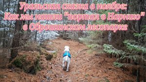 Уральская сказка в ноябре: Как мы нашли "портал в Нарнию" в Оброшинском лесопарке