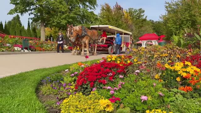 Расслабляющие осенние краски и Красивый Осенний Тур по саду на острове Макино, Умиротворяющие Звуки