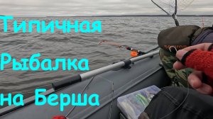 Типичная трудовая рыбалка на берша в ноябре.