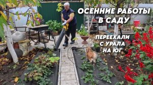 1021 Жизнь после переезда/Обработка клубники по листу/Наш осенний сад на юге России