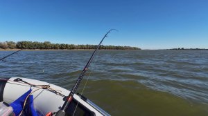 Эта приманка ловит всё! Ловля на спиннинг рыбалка осенью.