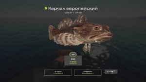 Русская рыбалка 4