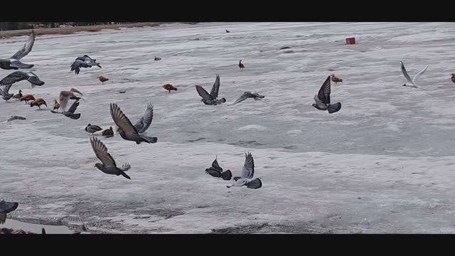 #Большой и #Малый #Ангарские #пруды #говорят #появились в #знаменательным #1812 #году