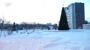 ГДЕ ЖИВЕТ ЕЛКА ЛЕТОМ