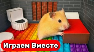 ЛАБИРИНТ С ЛОВУШКАМИ И МОНСТРАМИ ДЛЯ УМНОГО ХОМЯКА №4 🐹 ВИДЕО ПРО ХОМЯКА ДЛЯ ДЕТЕЙ