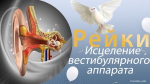 Сеанс Рейки. Исцеление вестибулярного аппарата