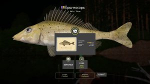 Русская Рыбалка 4 Трофей (Ёрш-носарь) р. Вьюнок