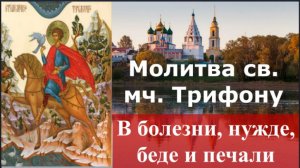 Молитва Св.мч. ТРИФОНУ в болезни, нужде, беде, печали и от злых сил (читается 3 раза)