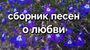 Сборник красивых  песен о любви