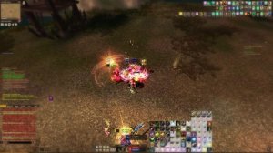 12.11.2025 Kipling Exit Pandora