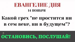 14 ноября Евангелие дня. Какой грех 'не простится' (Лк 12.2–12)