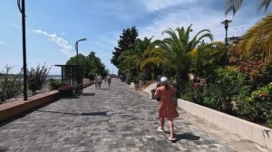 Адлер пляж чайка